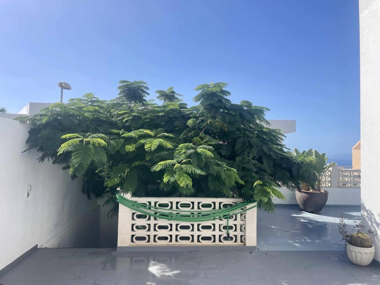 卡萨华丽酒店 阿德耶 外观 照片
